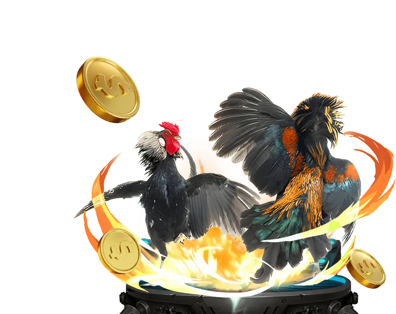 Người chơi trúng jackpot lớn tại Gà Kinh 79