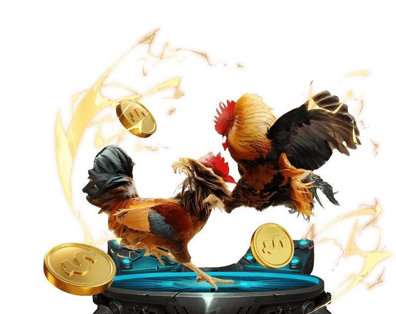 Biểu tượng Email Hỗ Trợ của gà kinh 79